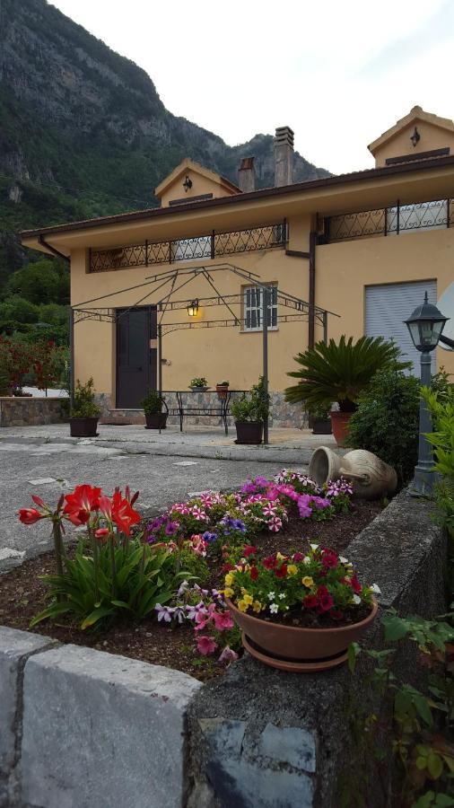 L'Acquario Bed and Breakfast Trecchina Exterior foto